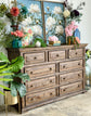 Charlotte Dresser-Honeywood
