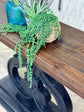 Harp Entryway-Black/Sparrow