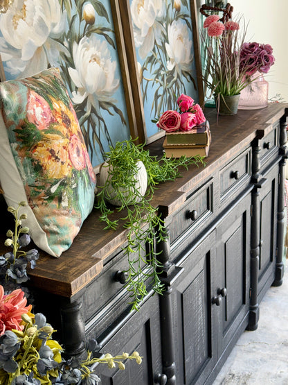 Novah 4-Door Console-Black/Sparrow