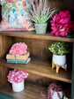Paisley Curved Vitrine-Briarwood/Sparrow