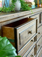 Charlotte Dresser-Honeywood