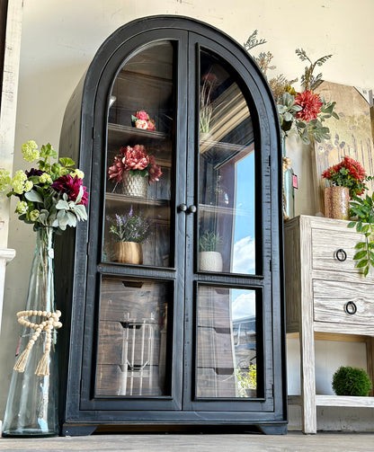 Avery Domed Vitrine-Black/Sparrow Interior