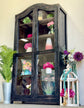 Brooklyn Arched Vitrine-Black/Mahogany