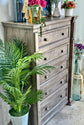 BLAKELY Chest of Drawers-Granite