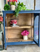 Camila 4 Door Console-Blue/Walnut