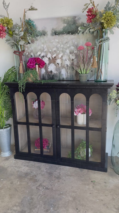 Gia 2 Door Console-Black/Dove